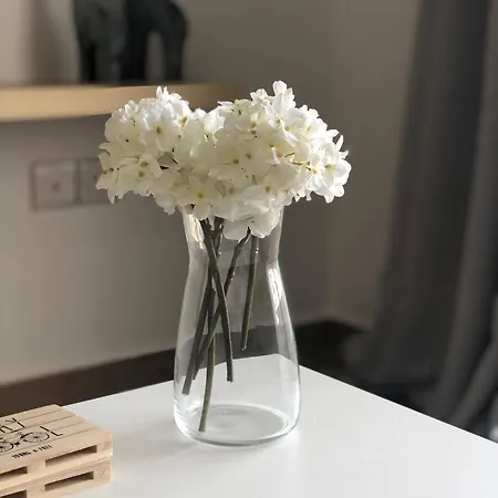 Victoria 2 Appartement Paphos